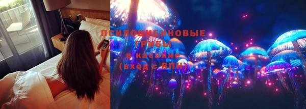 спиды Киреевск