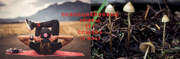 спиды Киреевск