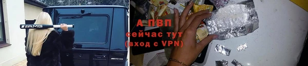 гашик Кинешма