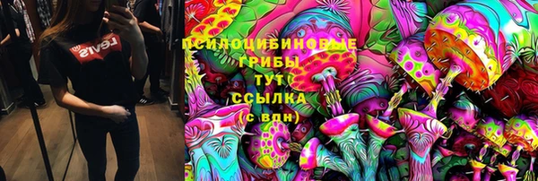 гашик Кинешма